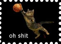 oh shit kitty basket booolll